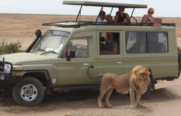 Game Viewing