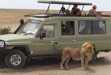 Game Viewing